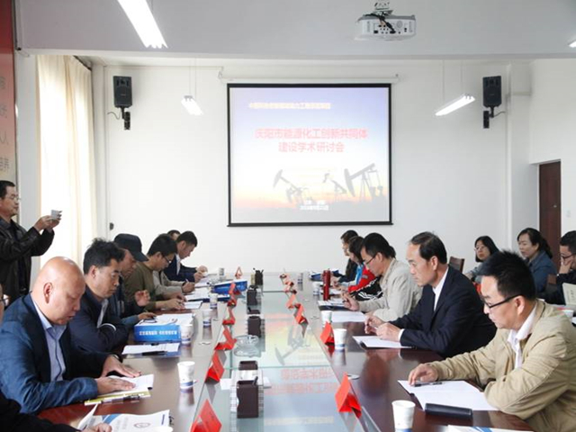 庆阳市能源化工创新共同体建设领导小组关于实施庆阳市能源化工创新共同体建设项目（3）