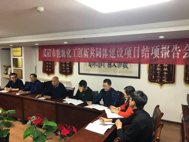 庆阳市能源化工创新共同体建设领导小组关于实施庆阳市能源化工创新共同体建设项目（6）